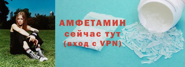 прущие грибы Осинники