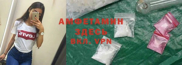 индика Бабаево