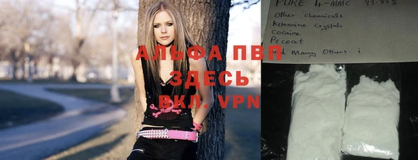 трава Няндома
