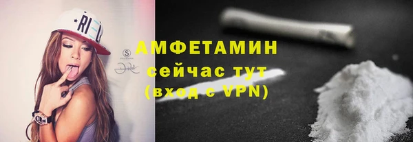 прущие грибы Осинники