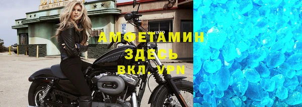 прущие грибы Осинники