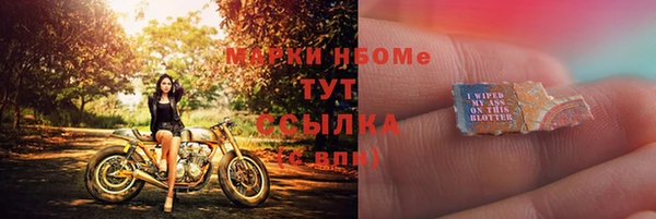 прущие грибы Осинники