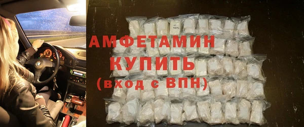 прущие грибы Осинники