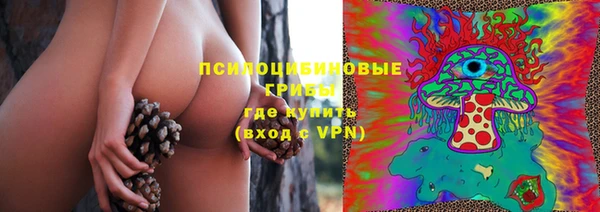 прущие грибы Осинники