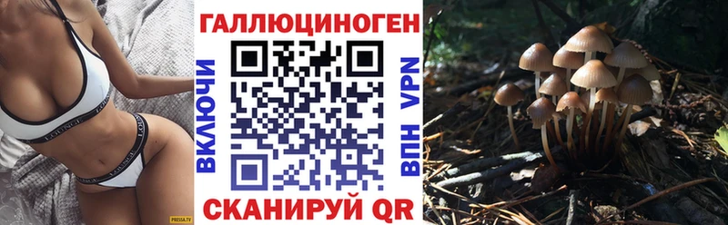 Псилоцибиновые грибы мицелий даркнет телеграм Судогда дарнет шоп