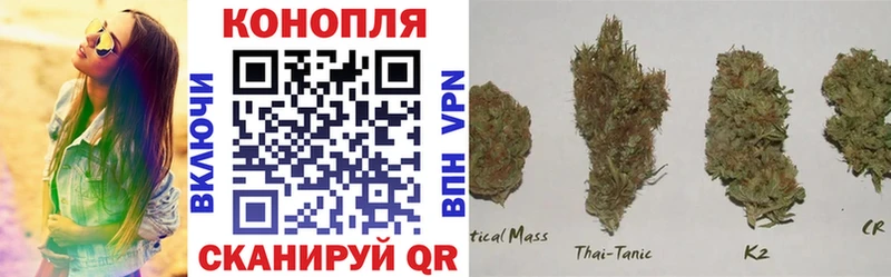 закладка  Судогда  Канабис планчик 